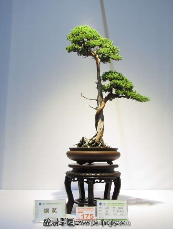 QQͼƬ20131003185915.jpg