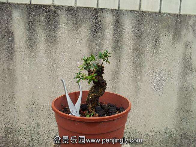 20131002_122853.jpg