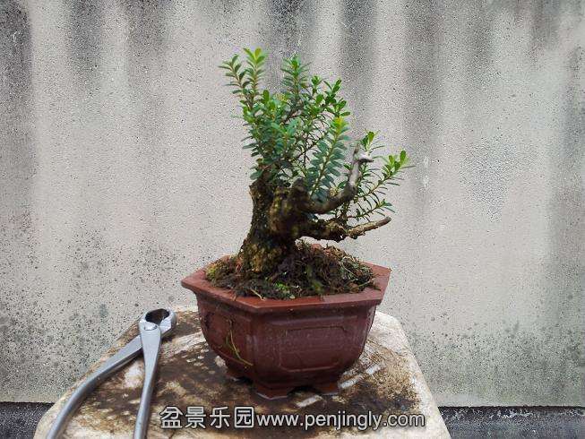 20131002_123155.jpg