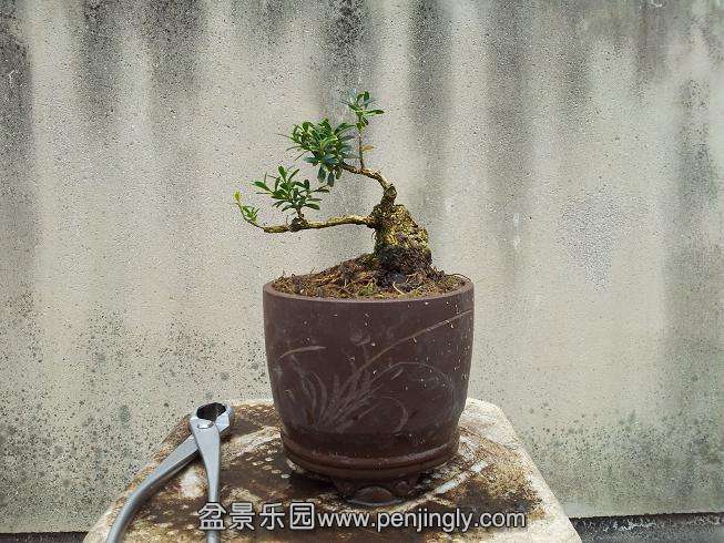 20131002_123250.jpg