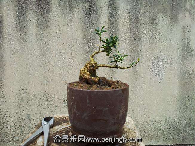 20131002_123259.jpg