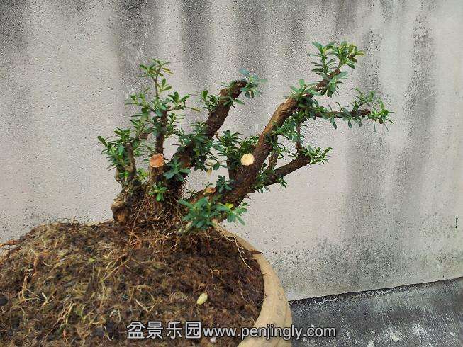 20131002_123922.jpg