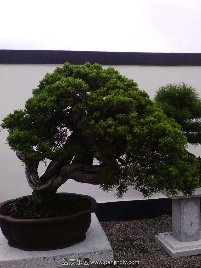 IMG_20130925_123842.jpg