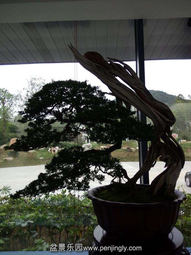 IMG20130925114528.jpg