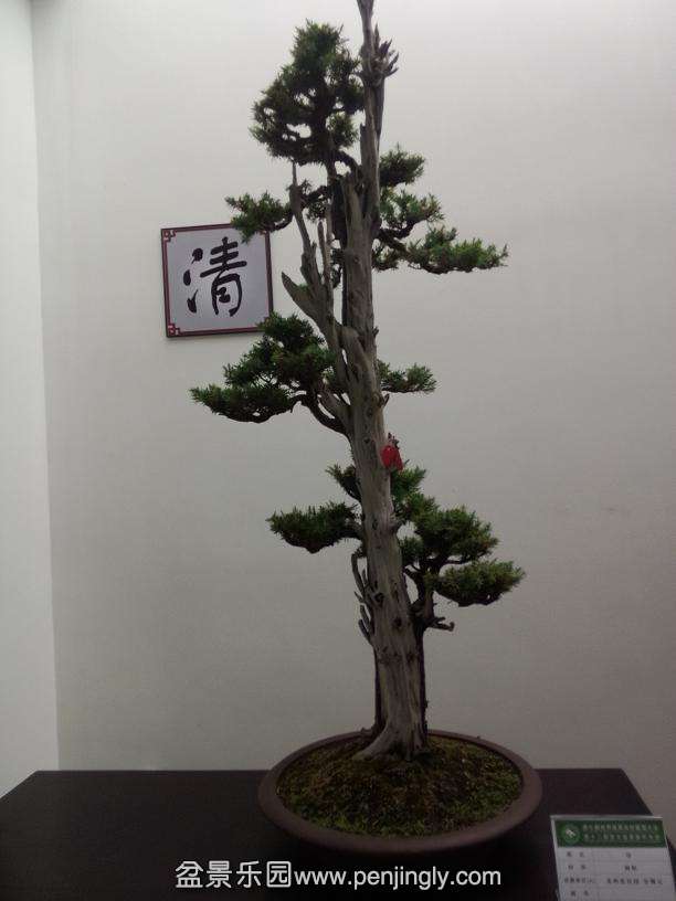 IMG20130925114932.jpg