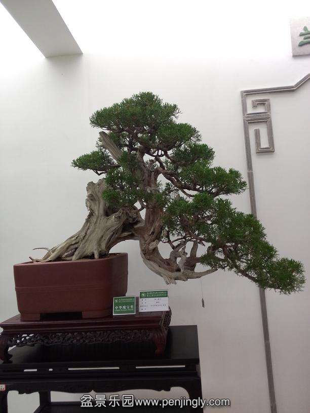 IMG20130925115659.jpg