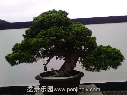 IMG_20130925_122254.jpg