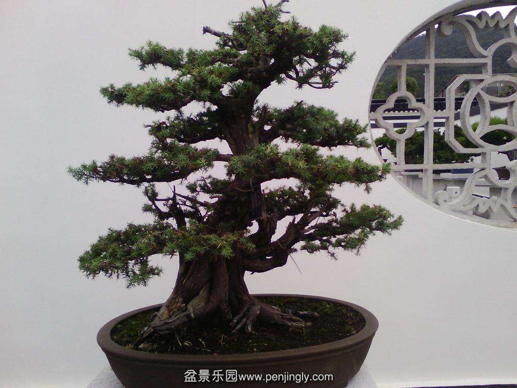 IMG_20130925_122721.jpg