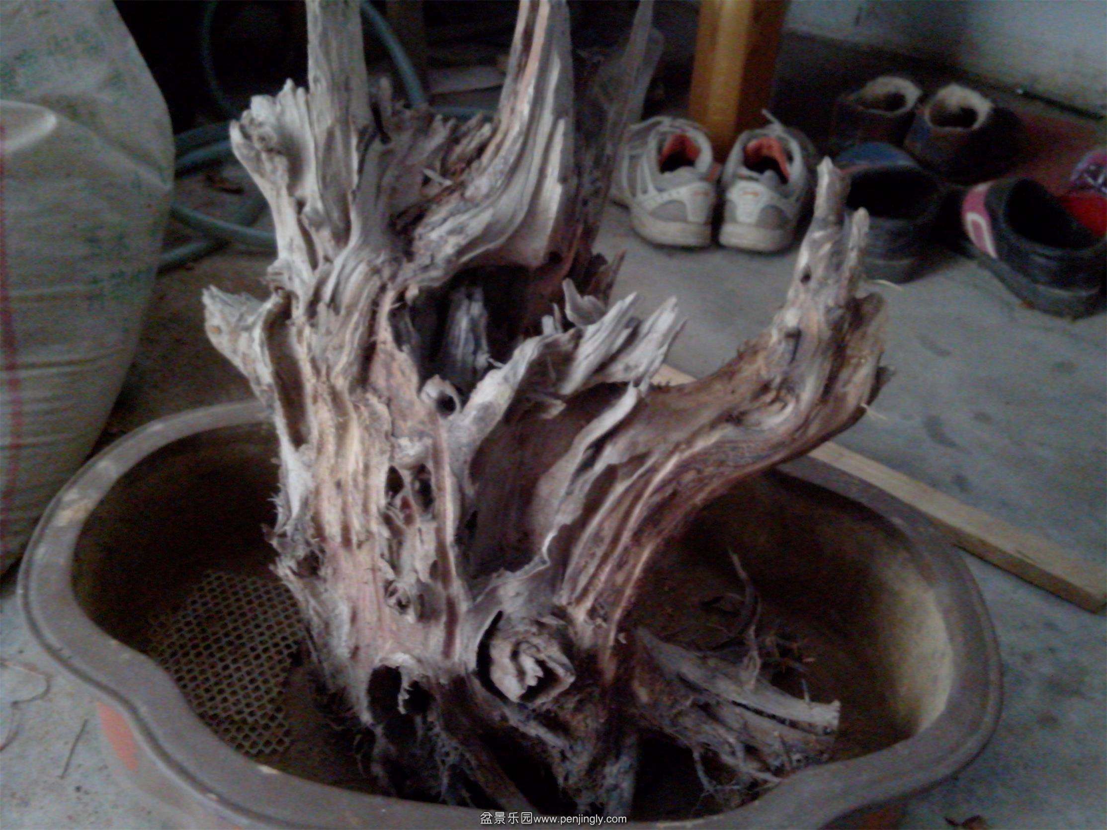 IMG20130926001.jpg