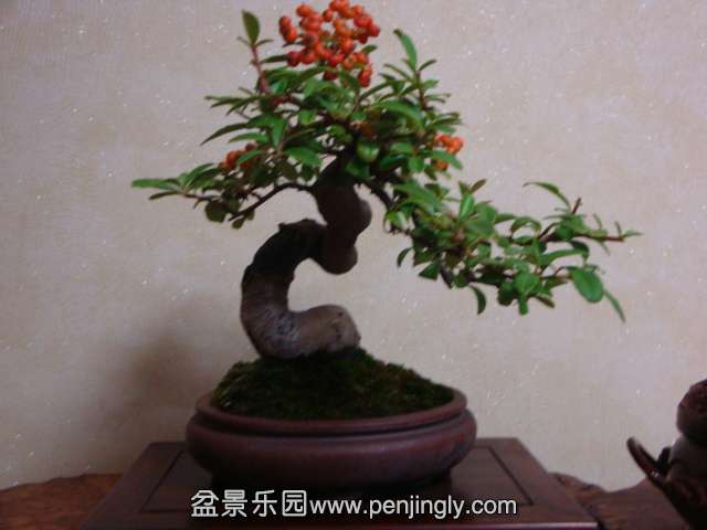 DSC05762.JPG