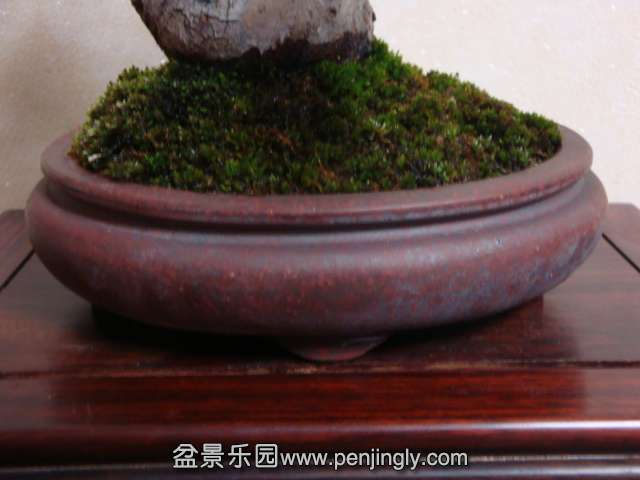 DSC05764.JPG