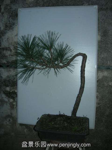 DSCN58930001.JPG