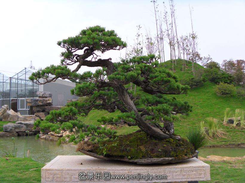 SDC12760.JPG