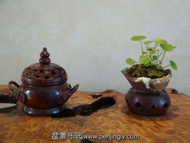 DSC05737.JPG