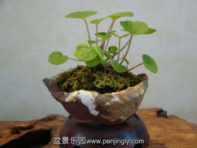 DSC05738.JPG