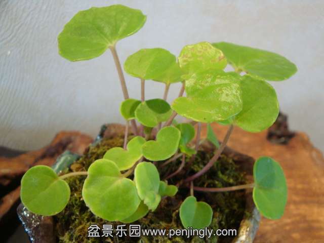 DSC05739.JPG