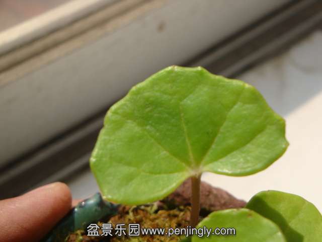 DSC05740.JPG