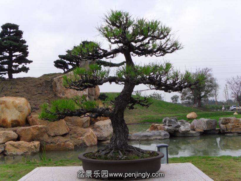SDC12769.JPG
