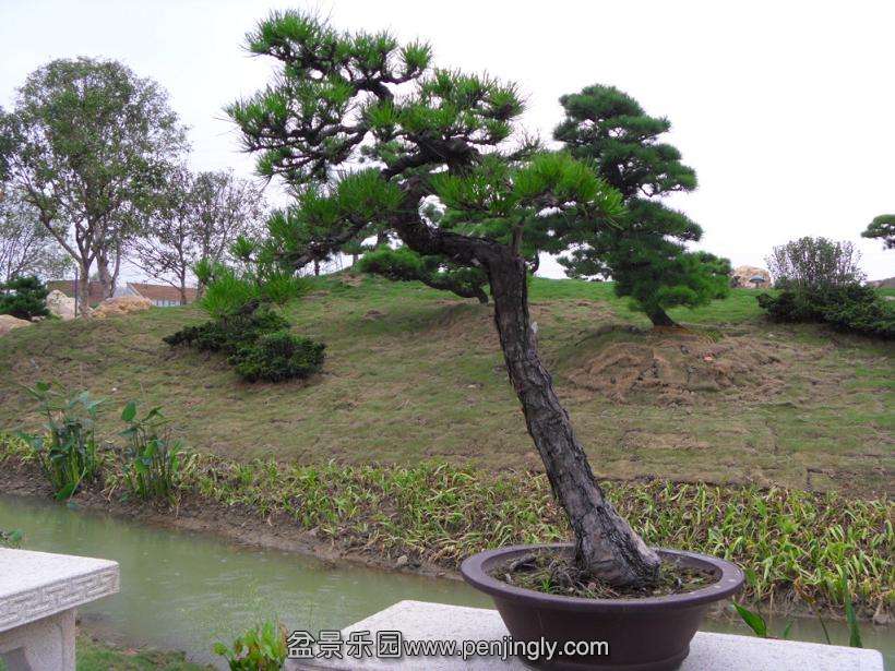 SDC12772.JPG