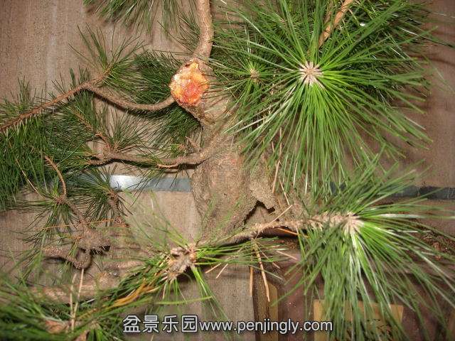DSCN59900001.JPG