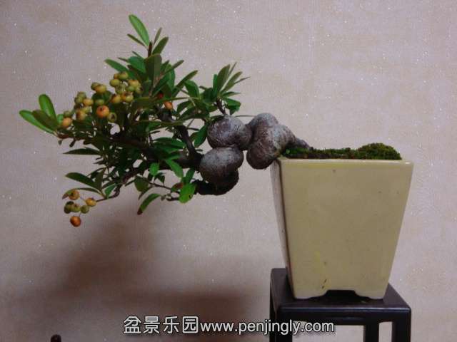 DSC05756.JPG