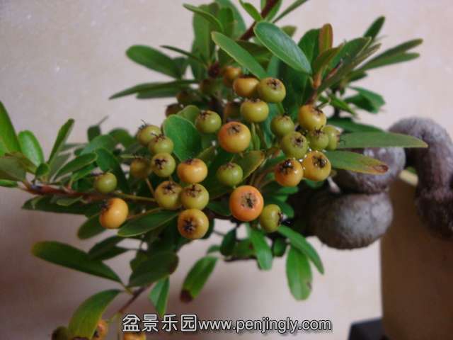 DSC05757.JPG
