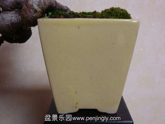 DSC05759.JPG