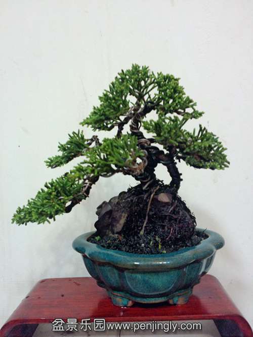 P31008-221823_.jpg