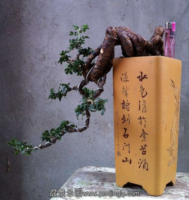 QQͼ20131010175402.jpg