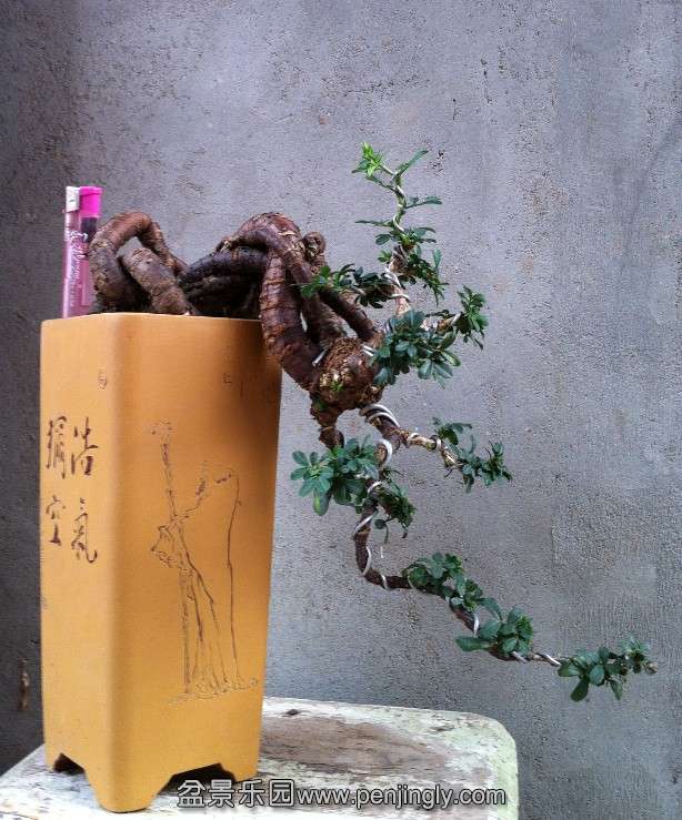 QQͼ20131010175305.jpg
