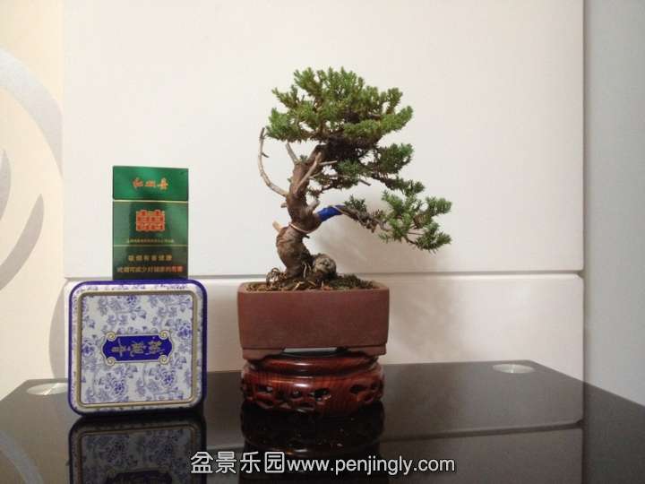 nEO_IMG_IMG_4147.jpg