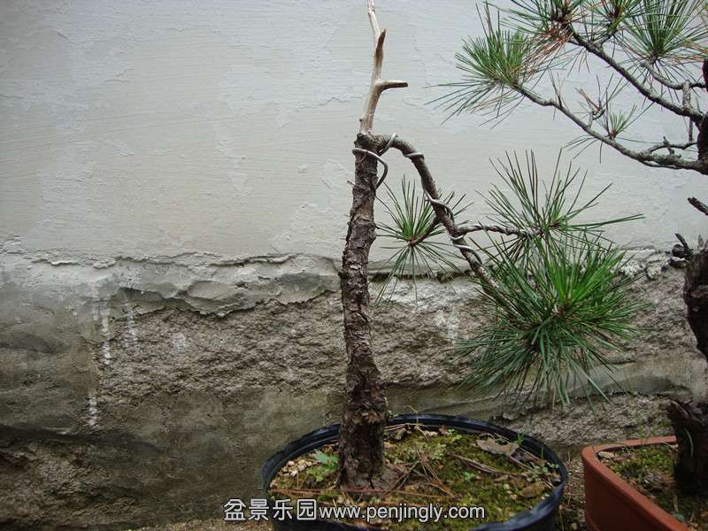 DSC01451_.jpg