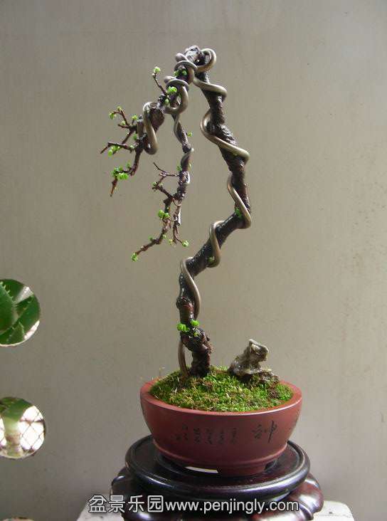 ת С DSCN2713.JPG
