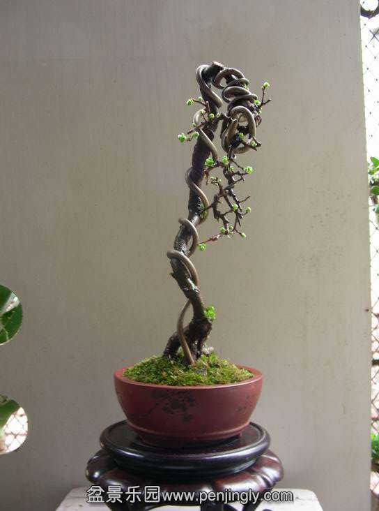 ת С DSCN2712.JPG