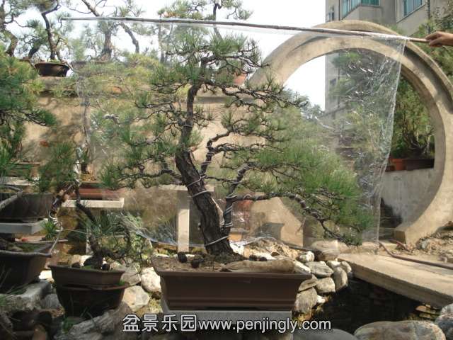 DSC00600.JPG