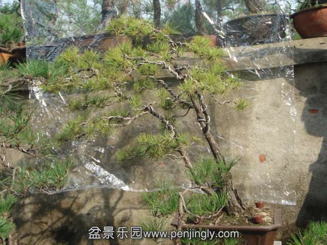 DSC00610.JPG