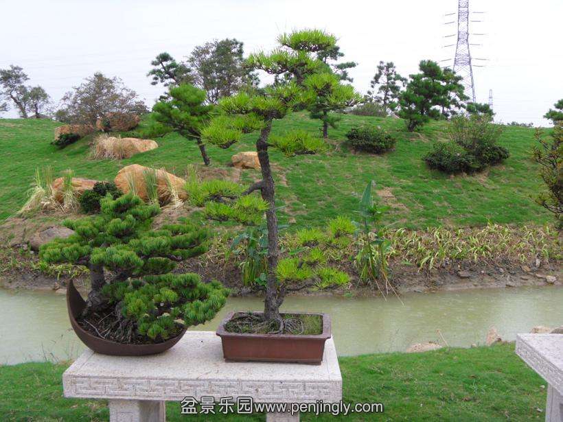 SDC12776.JPG