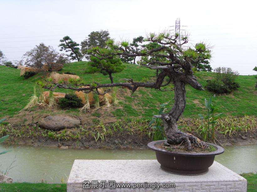 SDC12777.JPG