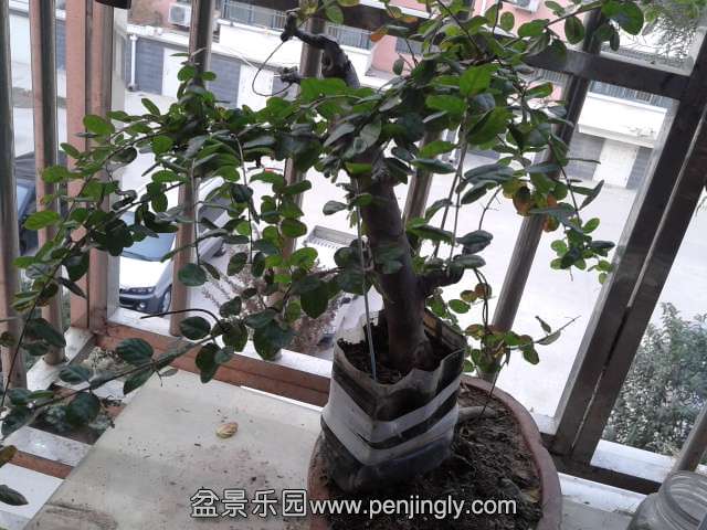 2013-10-12 16.48.39.jpg