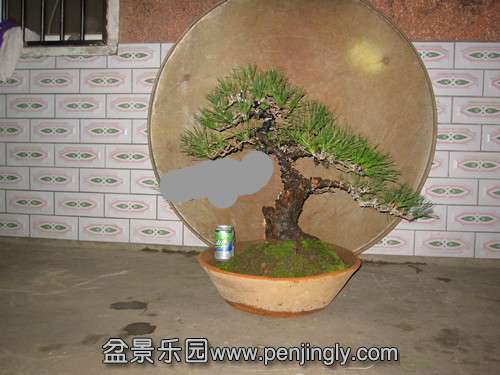 IMG_6194__.jpg
