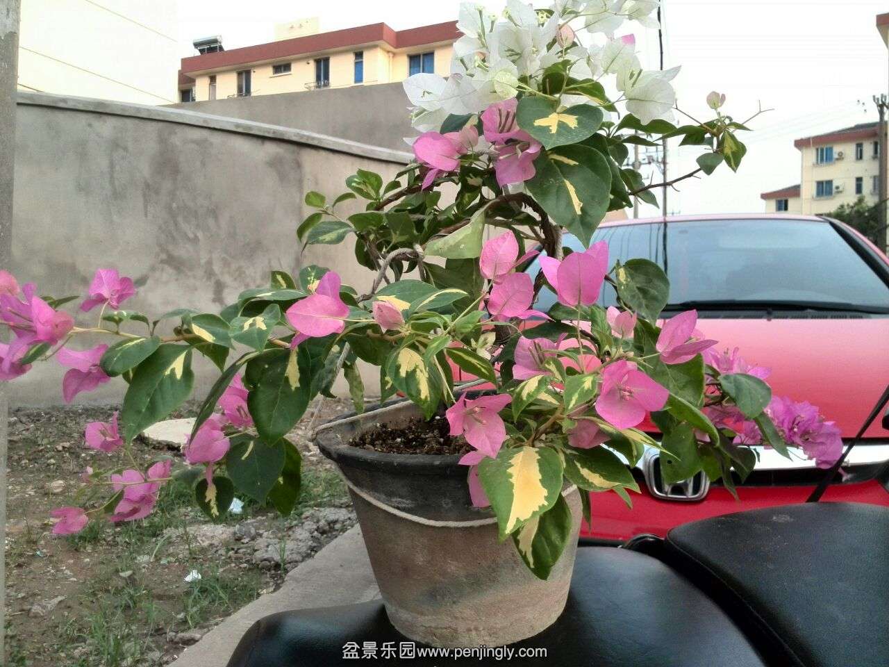 9)1FS7LTG25Y9EBS]2EFZSR.jpg