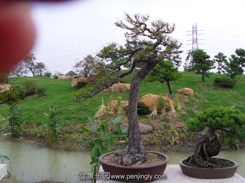 SDC12778.JPG