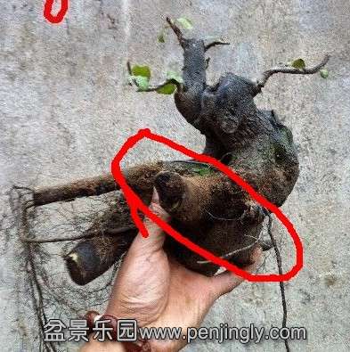 QQ图片20131013162913.jpg