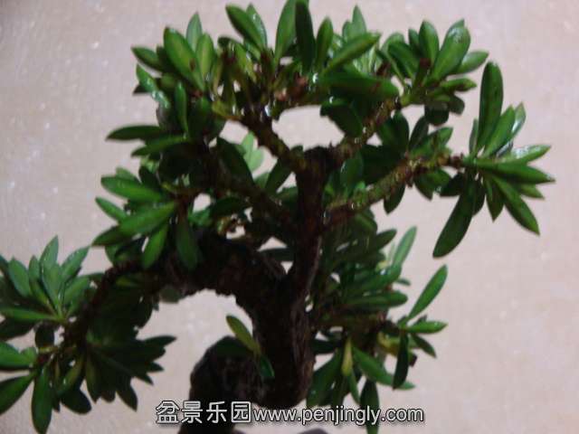 DSC05821.JPG