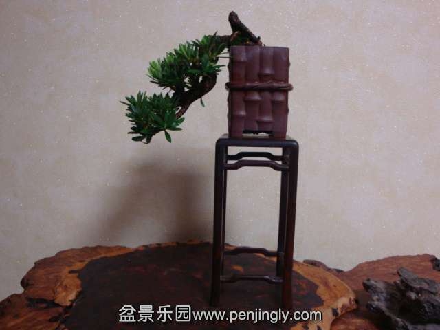 DSC05816.JPG