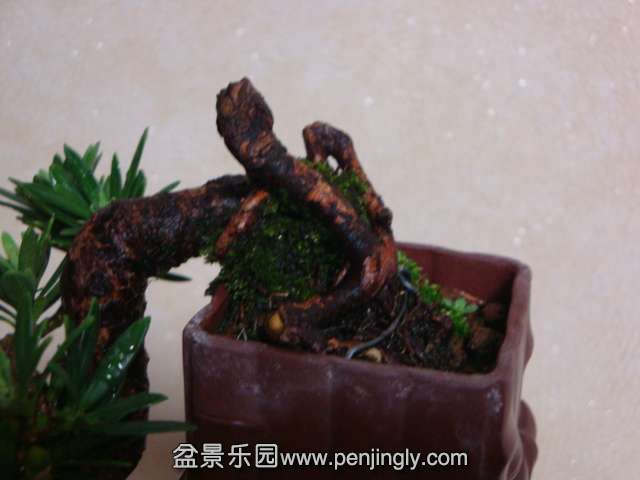DSC05818.JPG