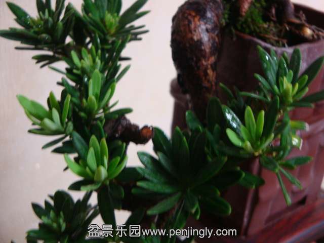 DSC05819.JPG
