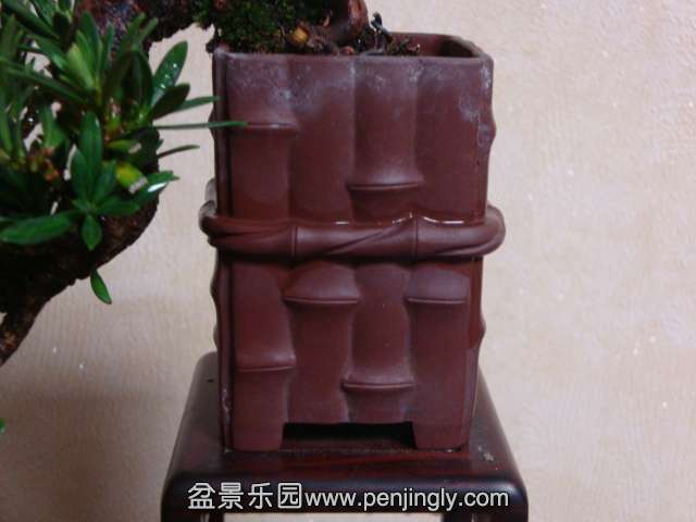 DSC05820.JPG