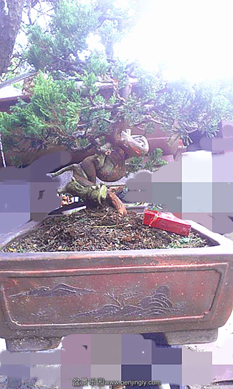 microMsg.1381187042653__.jpg