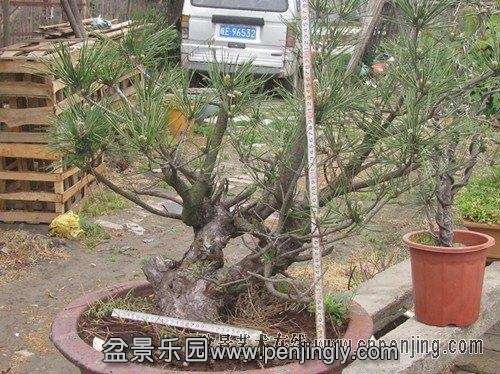 214512il0bu0dyhdbp3nue.jpg.thumb.jpg